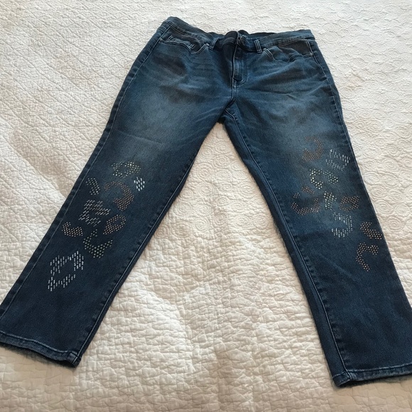 DG2 5-pocket jeans with silver, gold & copper bling —virtual stretch (16P) - Picture 5 of 16